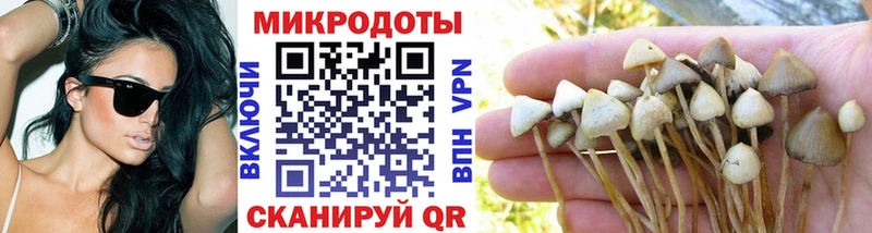 Псилоцибиновые грибы Psilocybe цена наркотик Стрежевой